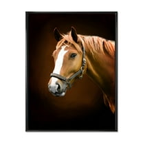 Designart 'Brown Horse With White Nose Portrait' Farmhouse Framed Canvas Wall Art Print