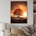 thumbnail image 1 of Designart "Brown Tree Dusks Beauty I" Landscape Trees Floater Framed Canvas Print, 1 of 7