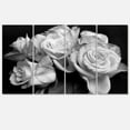 thumbnail image 1 of Designart 'Bunch of Roses Black and White ' Floral Art Canvas Print, 1 of 3