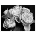thumbnail image 1 of Designart 'Bunch of Roses Black and White ' Floral Art Canvas Print, 1 of 3