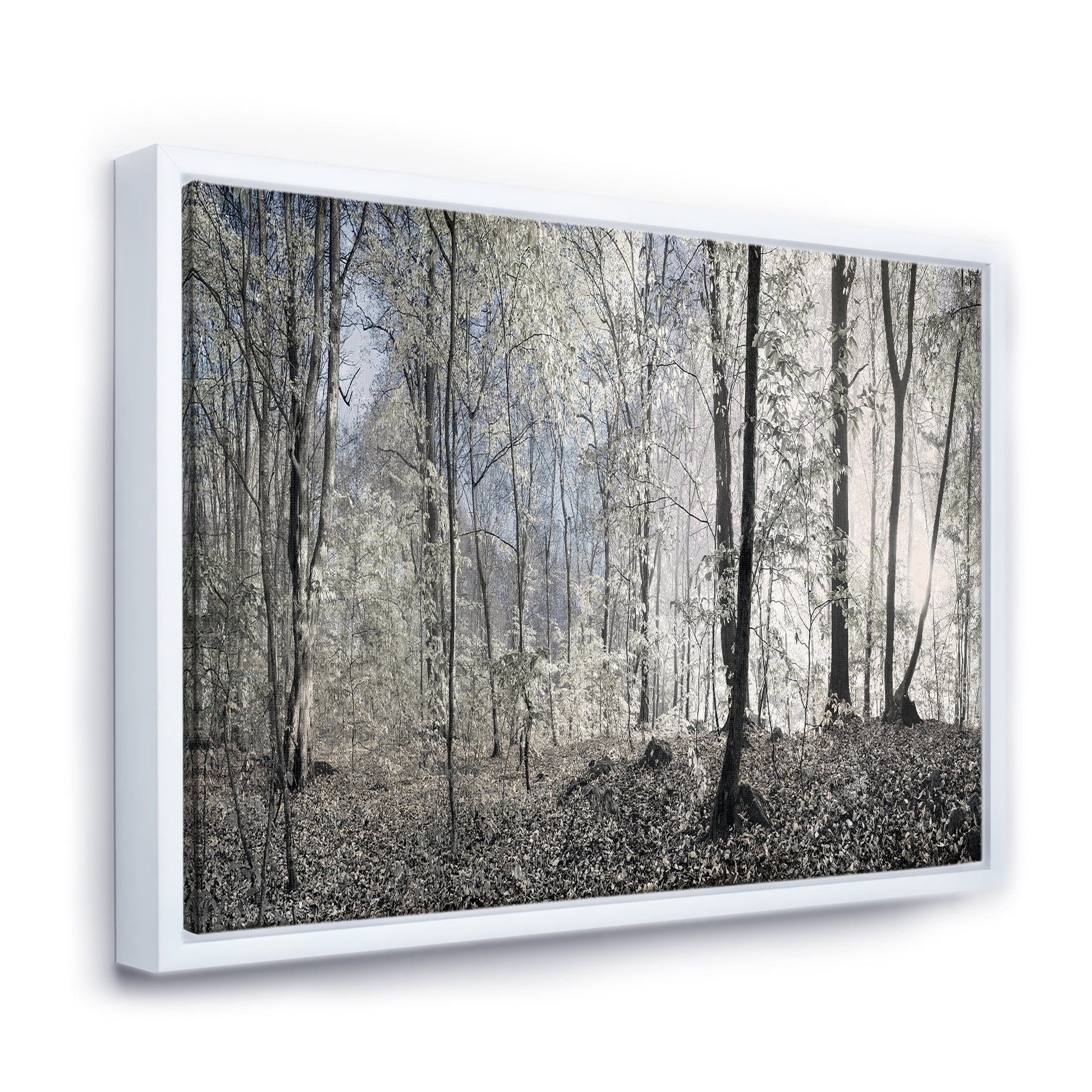 Designart ' Bunch of Roses Black and White ' Floral Art Framed Canvas Print