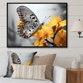 thumbnail image 1 of Designart "Butterfly Haven Yellow Grey II" Animals Floater Framed Canvas Print, 1 of 7