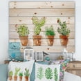 thumbnail image 1 of Designart 'Cacti In Gentle Tones In Ceramic Pots I' Botanical Print on Natural Pine Wood, 1 of 5
