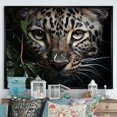 thumbnail image 1 of Designart "Camouflaged Leopard In The Moonlight I" Animals Leopard Floater Framed Wall Art Prints, 1 of 5