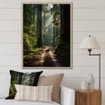 thumbnail image 1 of Designart "Canada Cathedral Grove Calm" Canada Floater Framed Canvas Print, 1 of 7