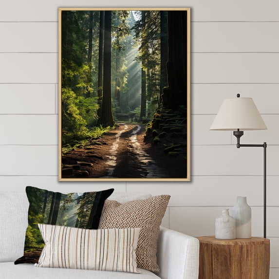 Designart "Canada Cathedral Grove Calm" Canada Floater Framed Canvas Print