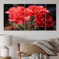 thumbnail image 1 of Designart "Carnations landscape IV" Floral Metal Art Print Set, 1 of 5