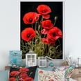 thumbnail image 1 of Designart "Cascade Of Crimson Poppies" Poppies Floater Framed Canvas Prints, 1 of 5
