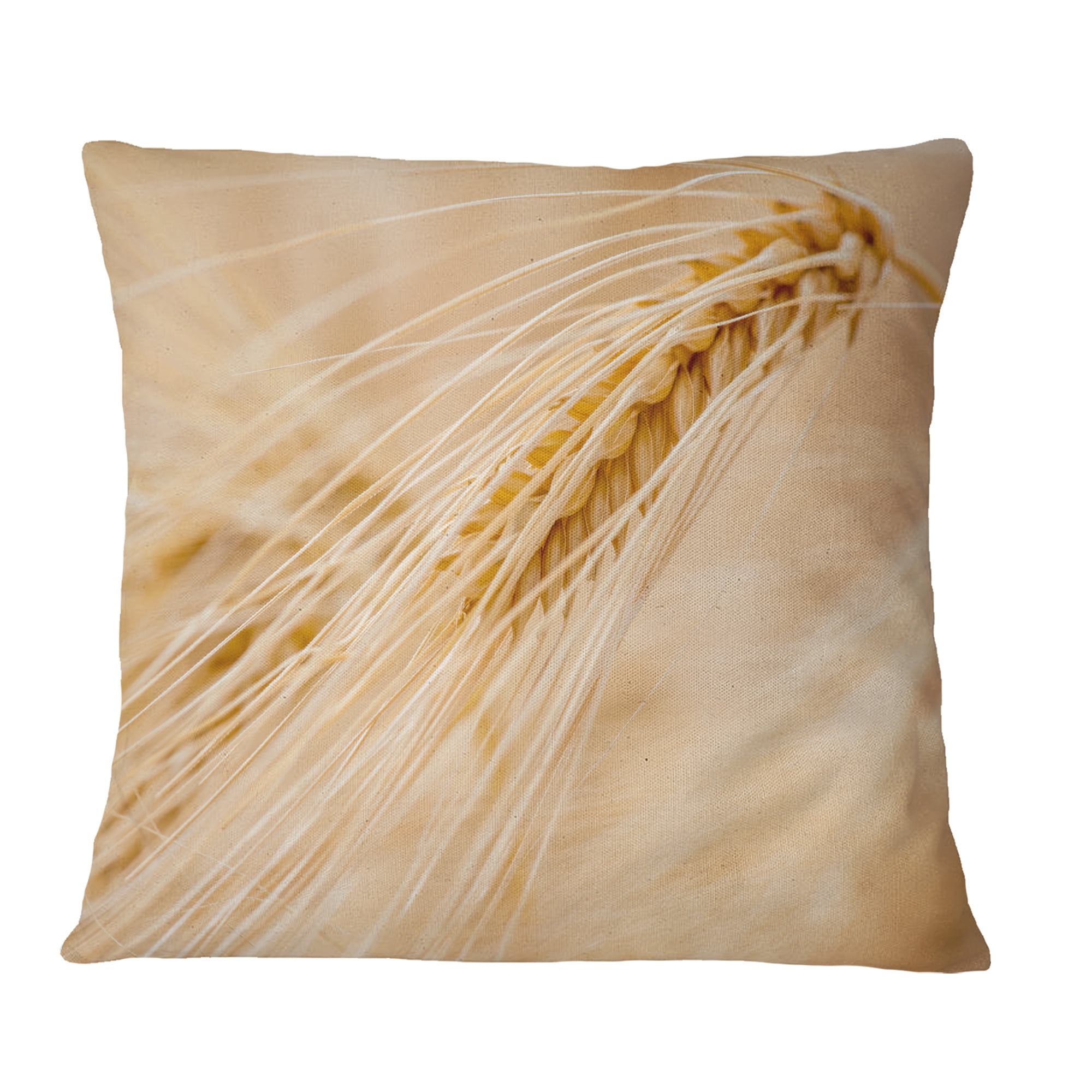 Designart Cereal Plants Barley - Floral Throw Pillow - 18x18