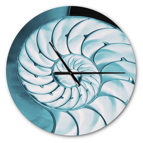 Designart 'Chambered Nautilus Shell ' Modern wall clock