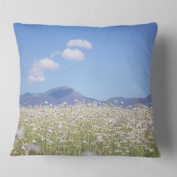 Designart Chamomiles with Hills on Background - Flower Throw Pillow - 16x16
