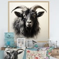 thumbnail image 1 of Designart "Charcoal Goat Portrait in Black III" Animals Framed Wall Art - Traditional Black Goat Hallway Framed Wall Art Decor, 1 of 6