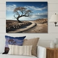 thumbnail image 1 of Designart "Charming African Tree Photography" Africa Wall Art Prints, 1 of 7