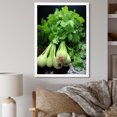 Designart "Cilantro Splash Herbs I" Floral Framed Wall Art