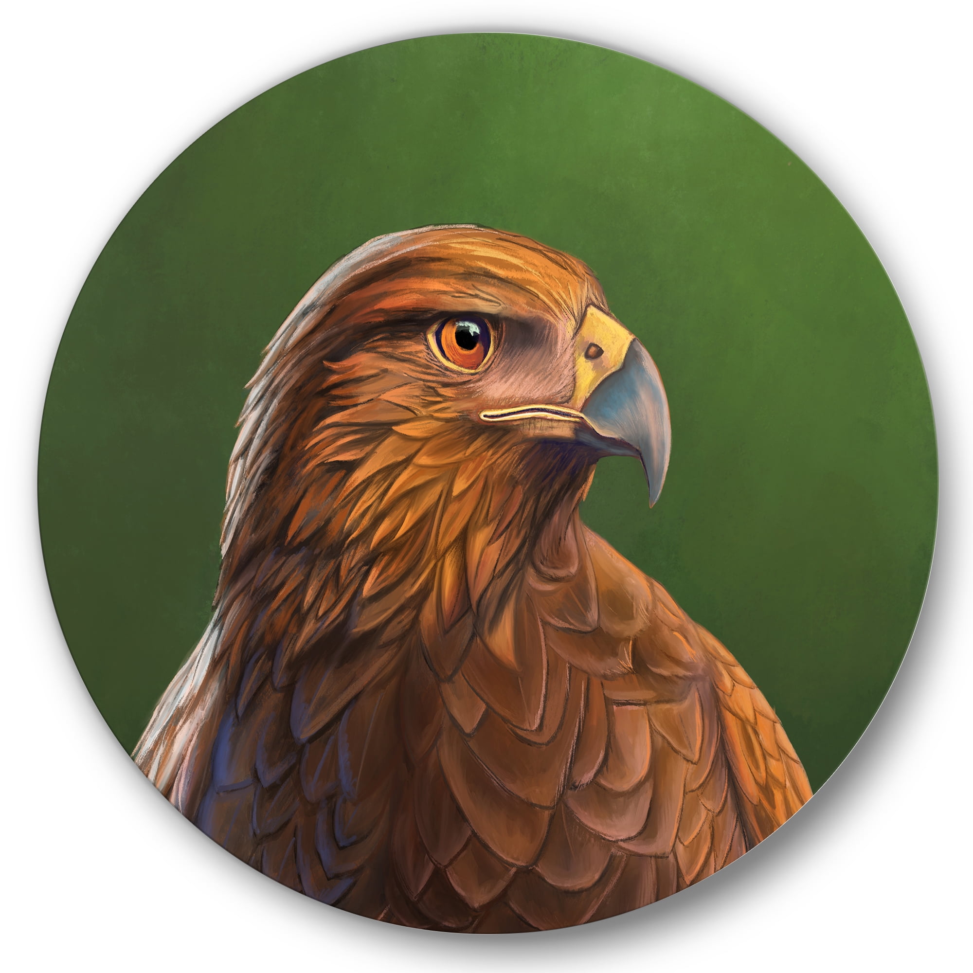 Designart 'Close UP Of Harris Hawk Bird' Traditional Circle Metal Wall Art 29x29 - Disc of 29