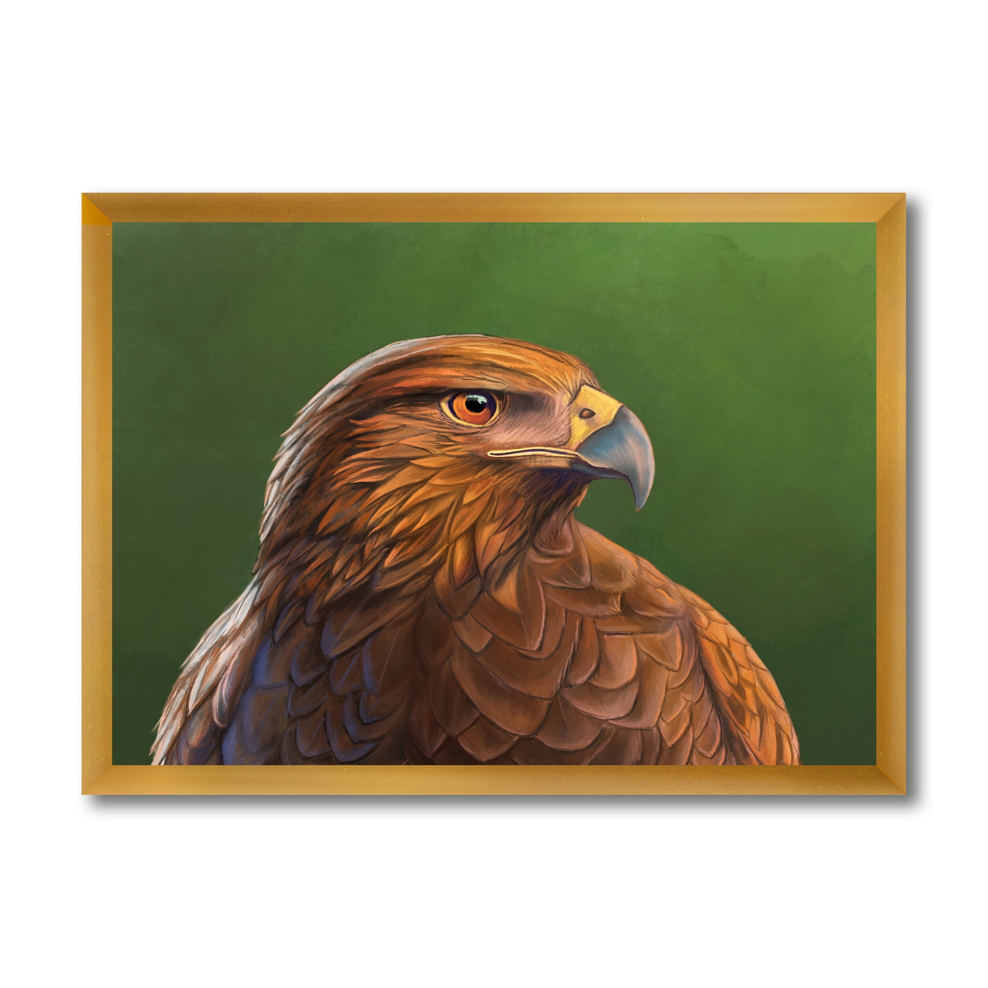 Designart 'Close UP Of Harris Hawk Bird' Traditional Framed Art Print