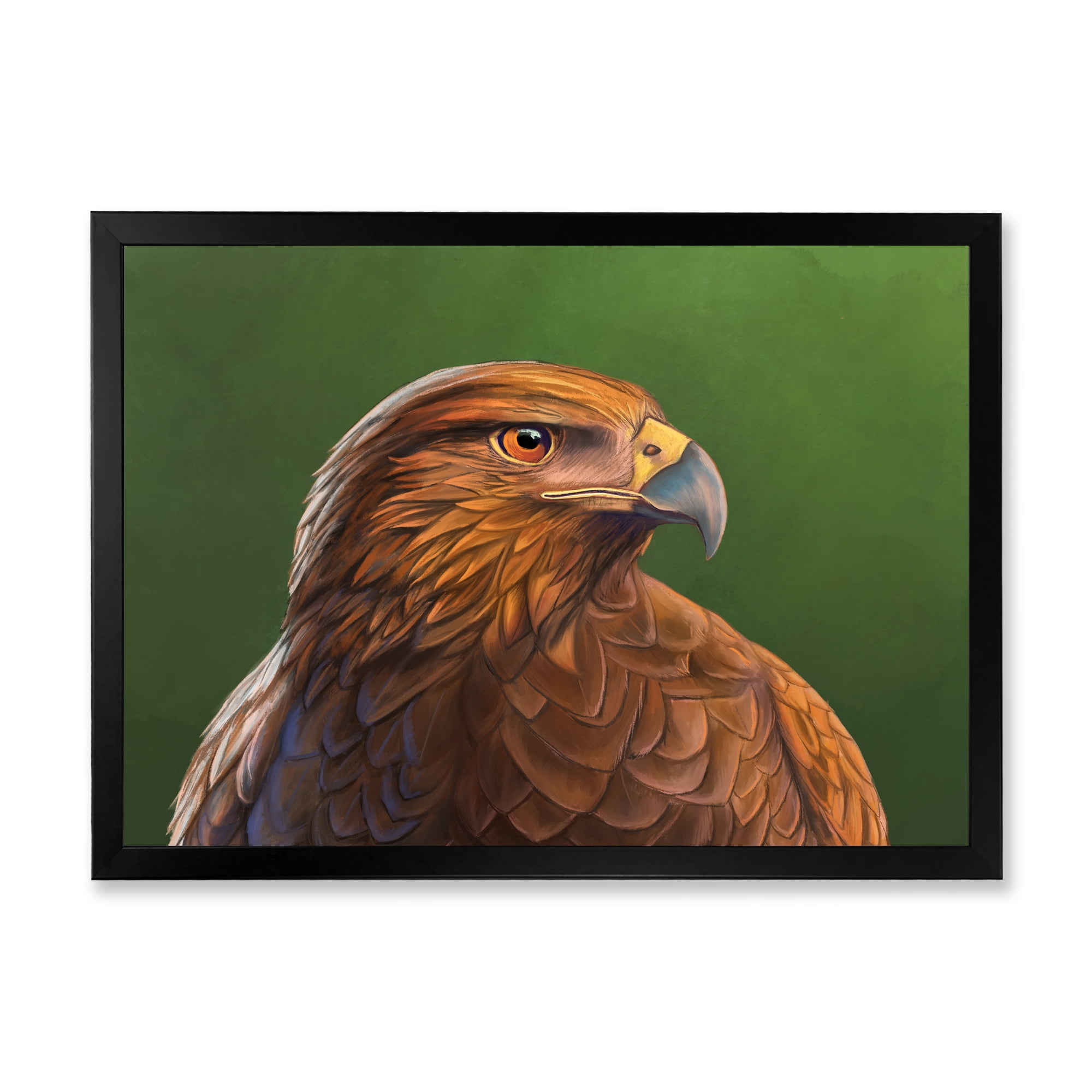 Designart 'Close UP Of Harris Hawk Bird' Traditional Framed Art Print