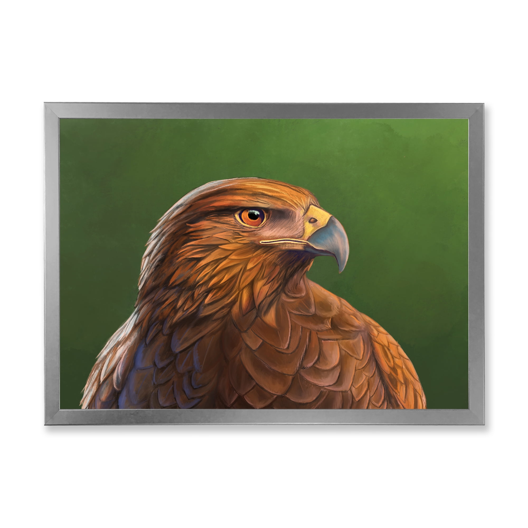 Designart 'Close UP Of Harris Hawk Bird' Traditional Framed Art Print