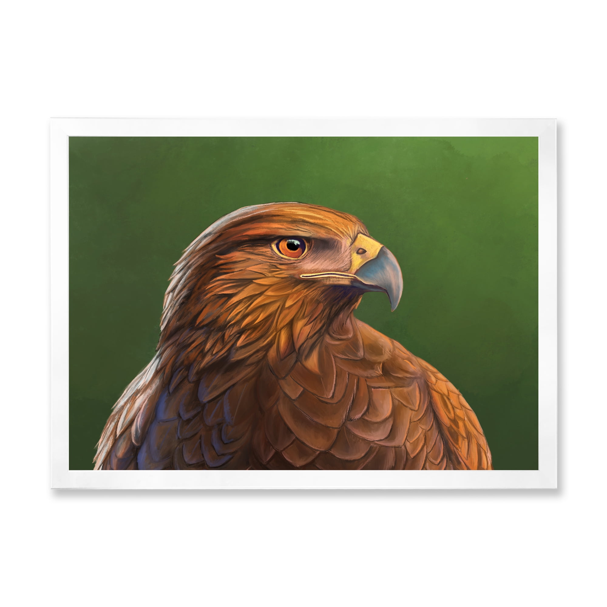 Designart 'Close UP Of Harris Hawk Bird' Traditional Framed Art Print