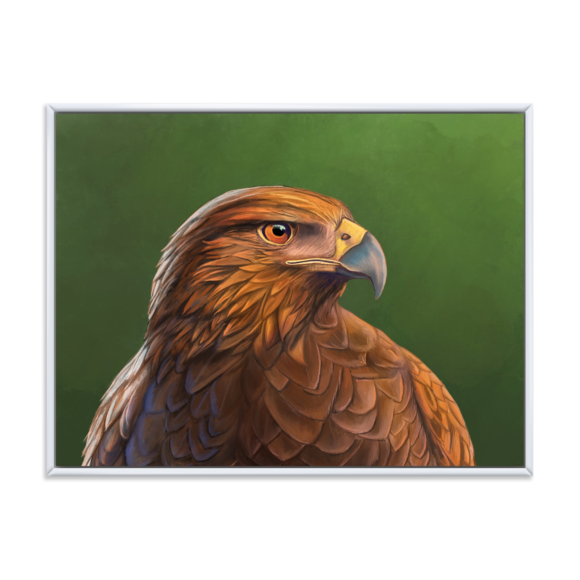 Designart 'Close UP Of Harris Hawk Bird' Traditional Framed Canvas Wall Art Print