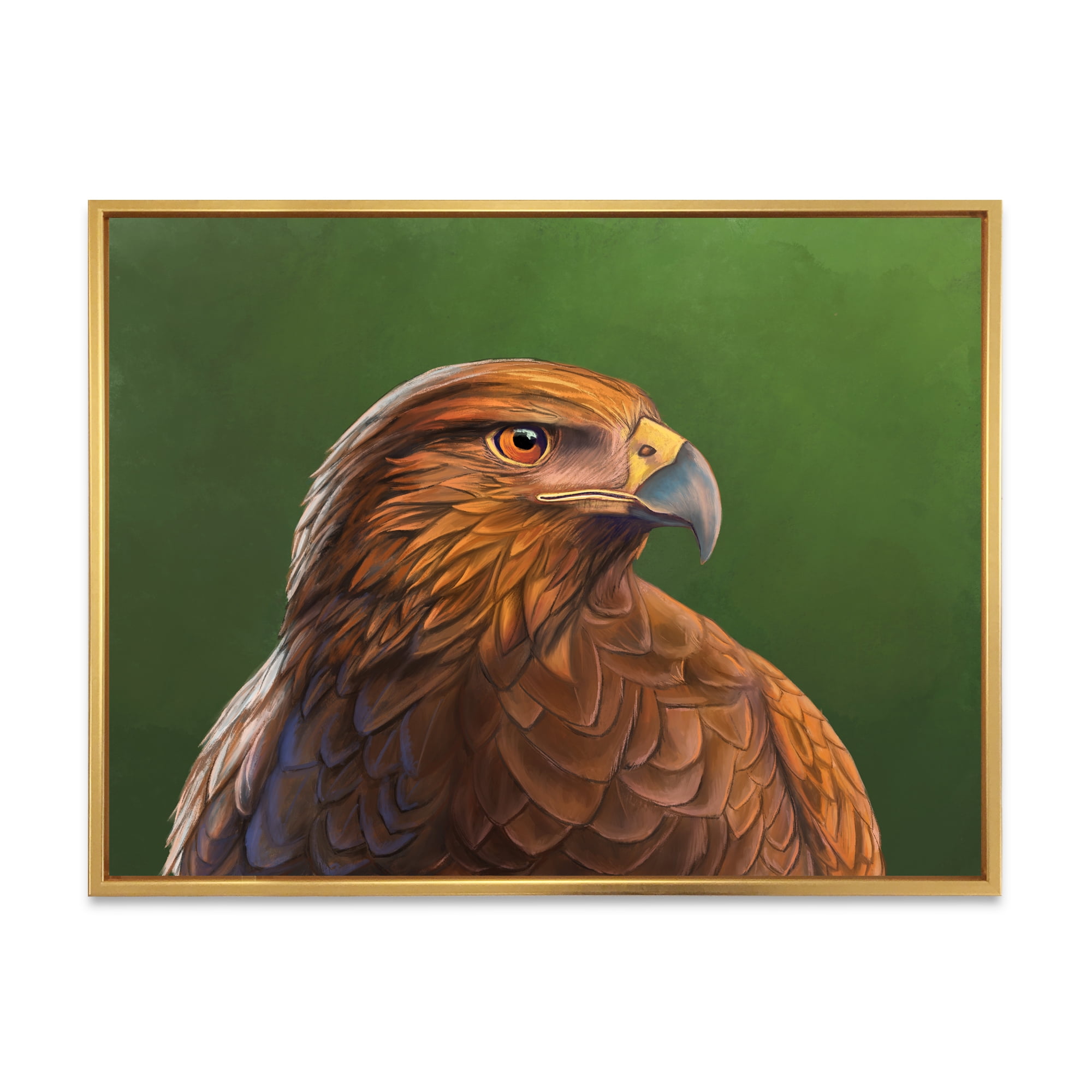 Designart 'Close UP Of Harris Hawk Bird' Traditional Framed Canvas Wall Art Print