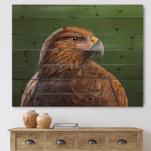 Designart 'Close UP Of Harris Hawk Bird' Traditional Print on Natural Pine Wood