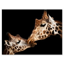 Designart ' Close UP Of Two Giraffes Kissing II ' Farmhouse Canvas Wall Art Print