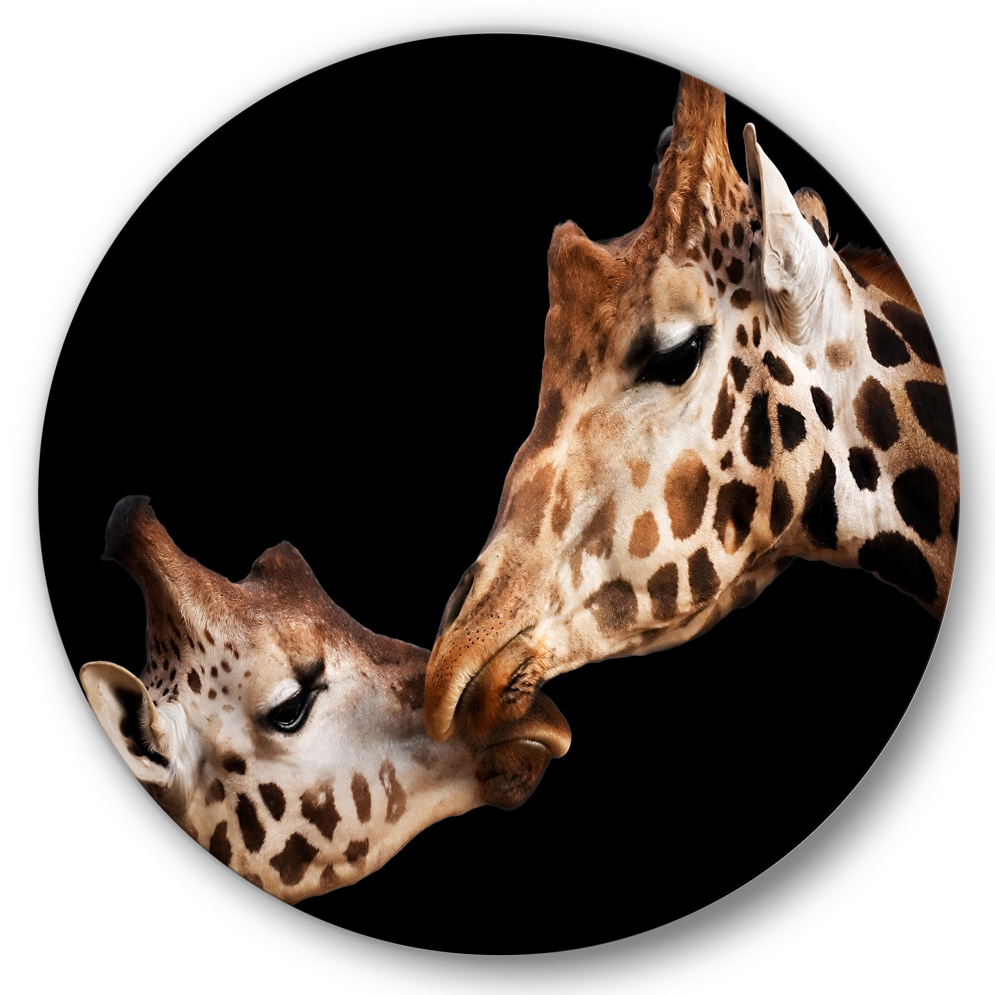 Designart 'Close UP Of Two Giraffes Kissing II' Farmhouse Circle Metal Wall Art 11x11 - Disc of 11