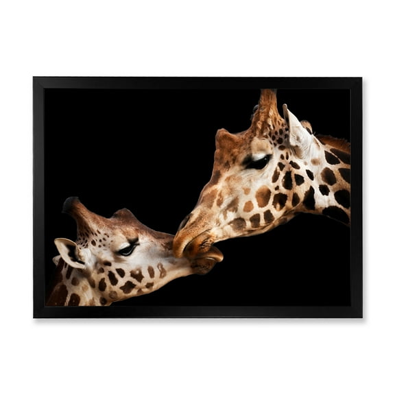 Designart 'Close UP Of Two Giraffes Kissing II' Farmhouse Framed Art Print