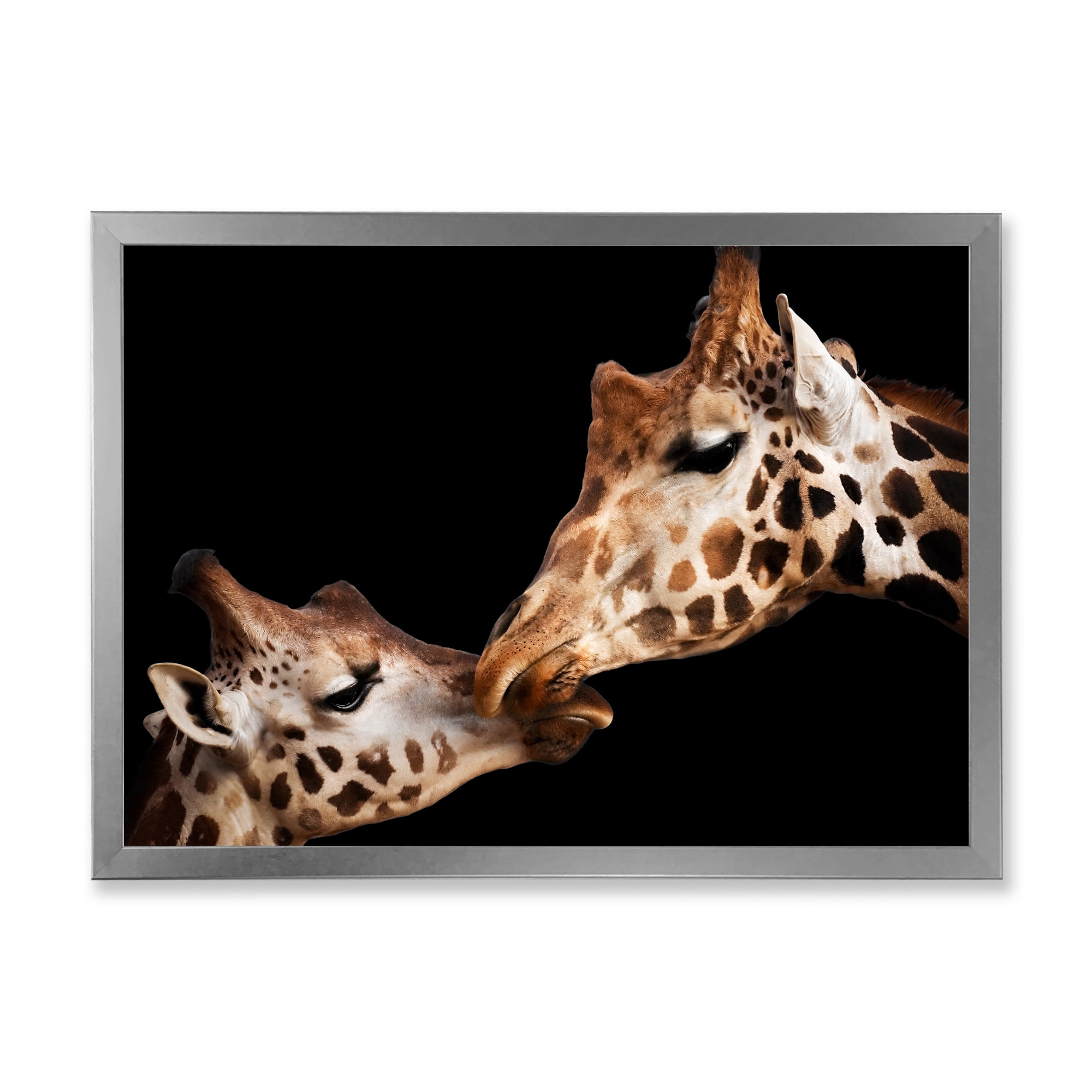 Designart 'Close UP Of Two Giraffes Kissing II' Farmhouse Framed Art Print