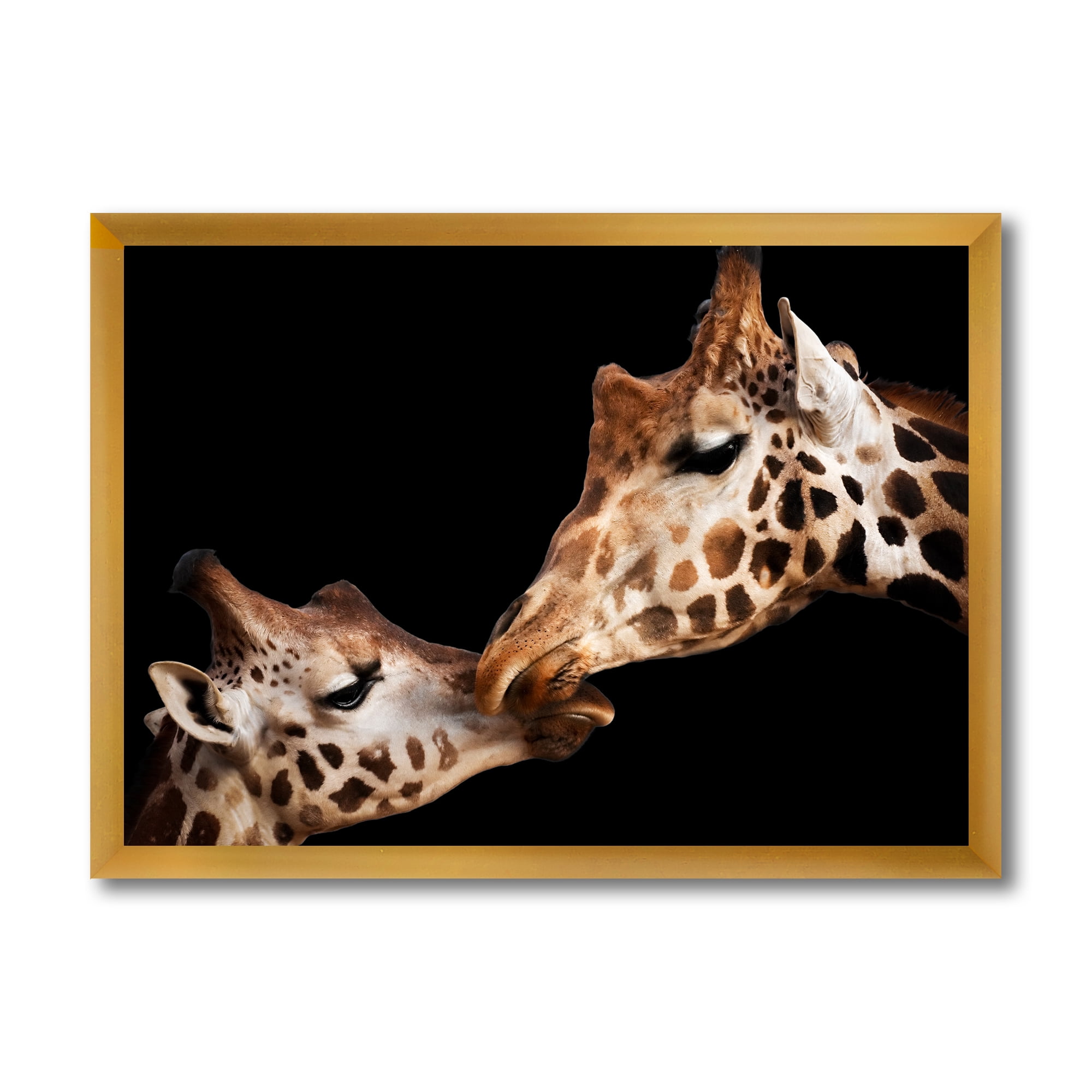 Designart 'Close UP Of Two Giraffes Kissing II' Farmhouse Framed Art Print