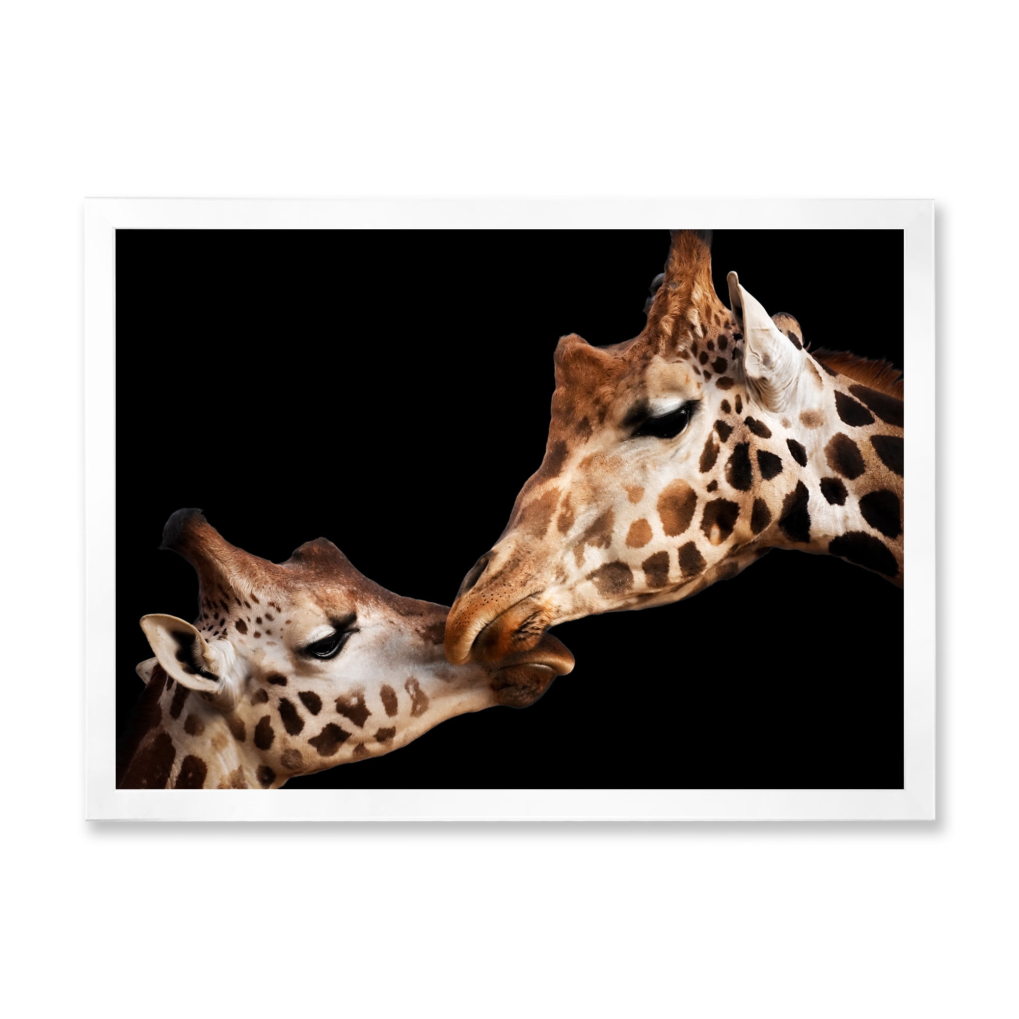Designart 'Close UP Of Two Giraffes Kissing II' Farmhouse Framed Art Print