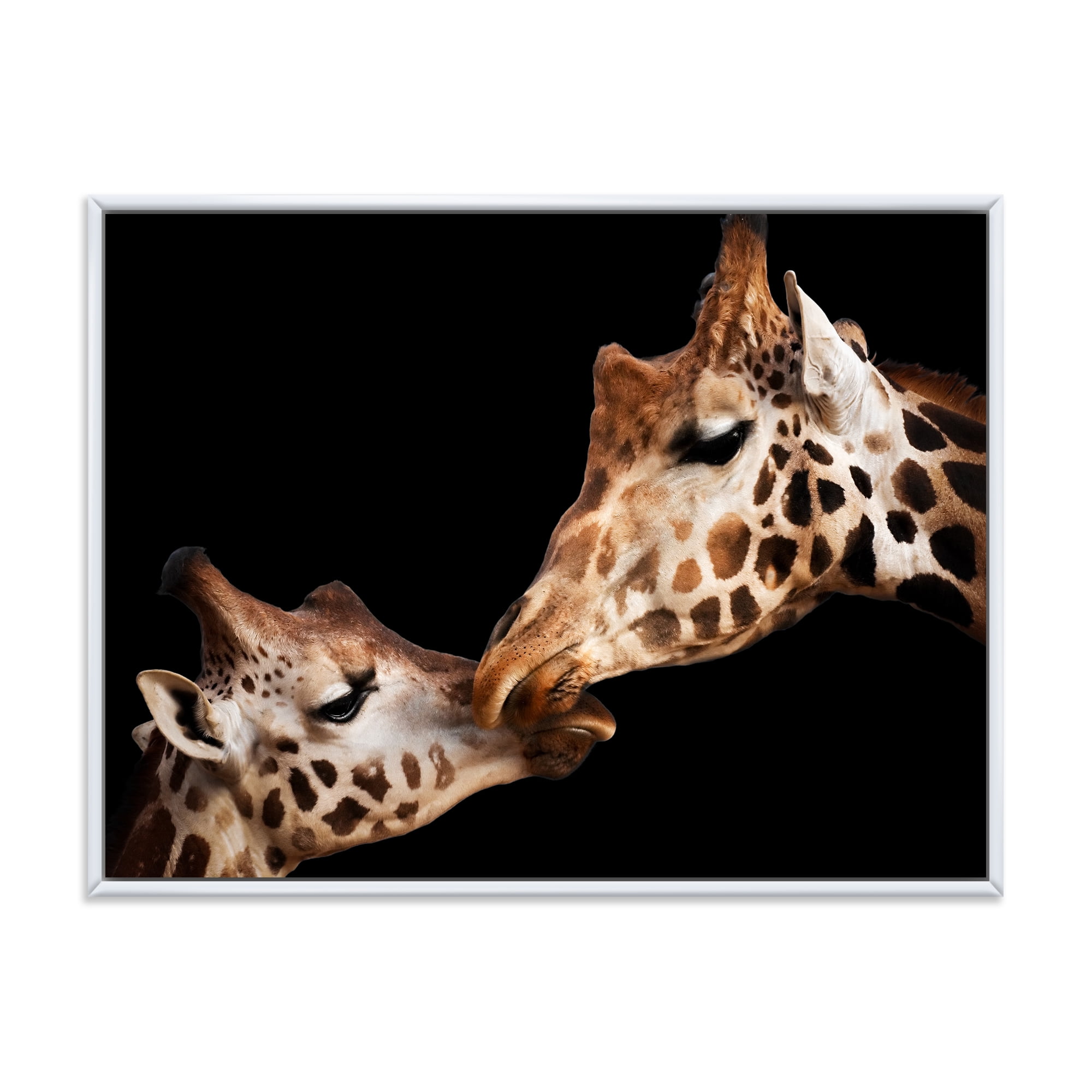 Designart 'Close UP Of Two Giraffes Kissing II' Farmhouse Framed Canvas Wall Art Print