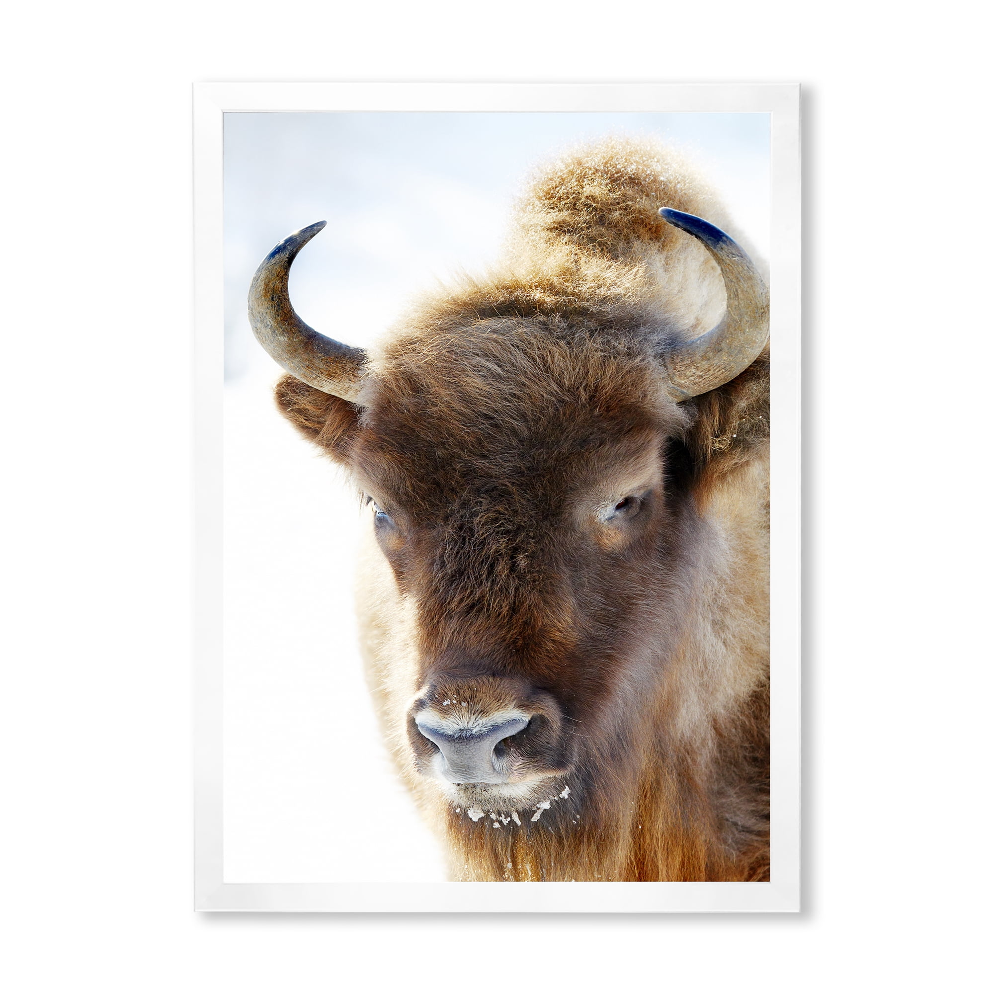 Designart 'Close UP Of Wild Bison' Farmhouse Framed Art Print