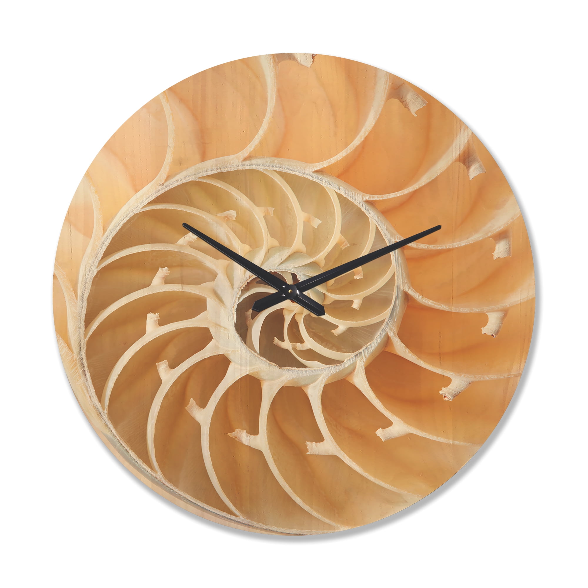 Designart 'Close Up Brown Nautilus Shell Pattern ' Modern Wood Wall Clock