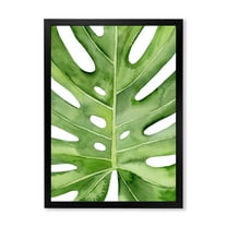 Designart 'Close Up Green Monstera Leaf Tropical Palm' Tropical Framed Art Print