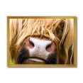 thumbnail image 1 of Designart 'Close-Up Highland Cattle' Farmhouse Framed Art Print, 1 of 4