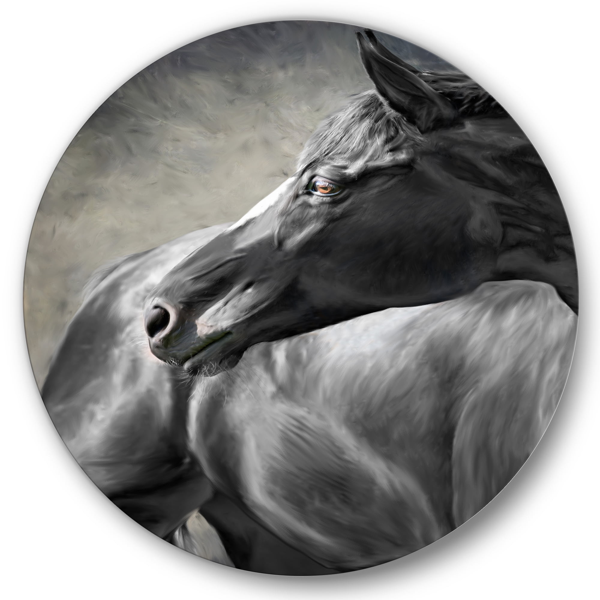 Designart 'Close Up Of A Black Horse' Farmhouse Circle Metal Wall Art 36x36 - Disc of 36