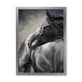 thumbnail image 1 of Designart 'Close Up Of A Black Horse' Farmhouse Framed Art Print, 1 of 4