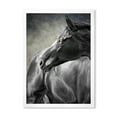 thumbnail image 1 of Designart 'Close Up Of A Black Horse' Farmhouse Framed Art Print, 1 of 4