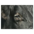 thumbnail image 1 of Designart ' Close-Up Of Cow Eye ' Farmhouse Canvas Wall Art Print, 1 of 4
