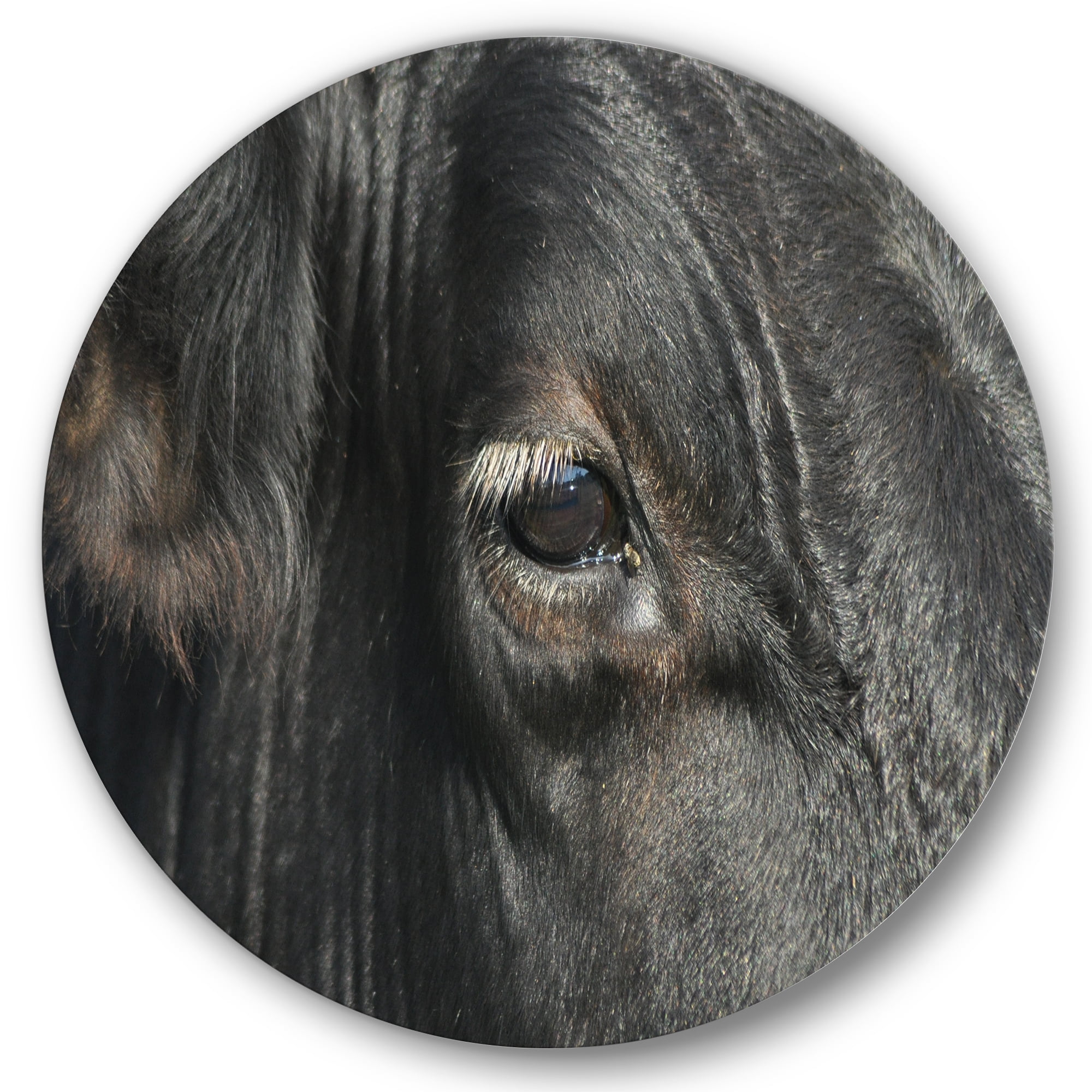 Designart 'Close-Up Of Cow Eye' Farmhouse Circle Metal Wall Art 29x29 - Disc of 29