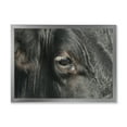 thumbnail image 1 of Designart 'Close-Up Of Cow Eye' Farmhouse Framed Art Print, 1 of 4