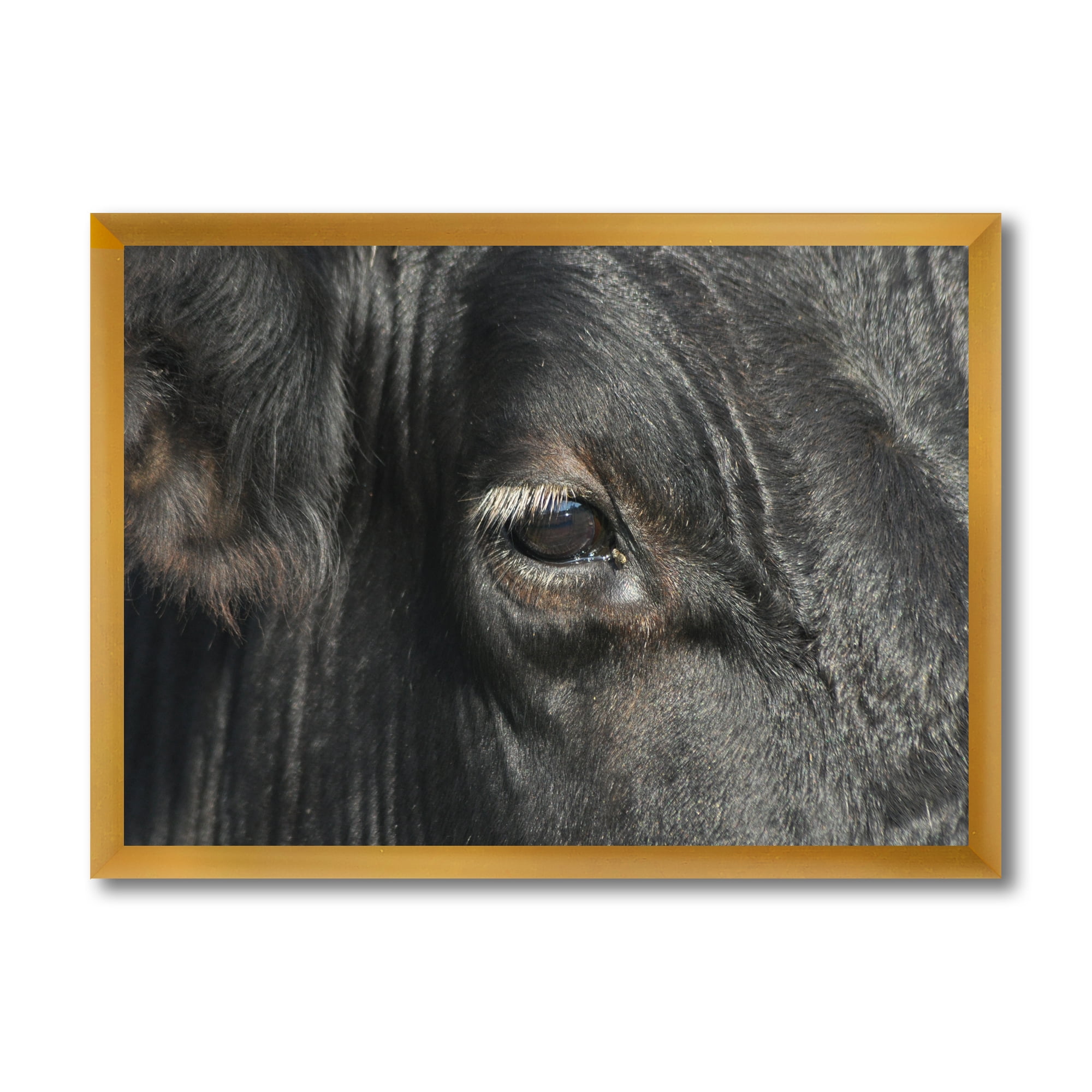 Designart 'Close-Up Of Cow Eye' Farmhouse Framed Art Print
