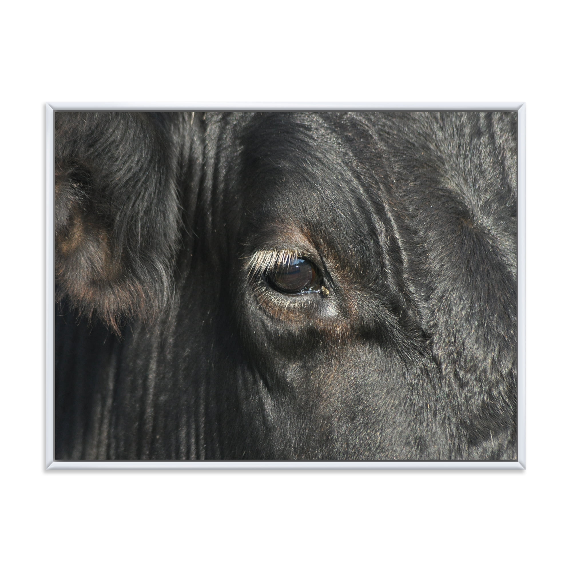 Designart 'Close-Up Of Cow Eye' Farmhouse Framed Canvas Wall Art Print
