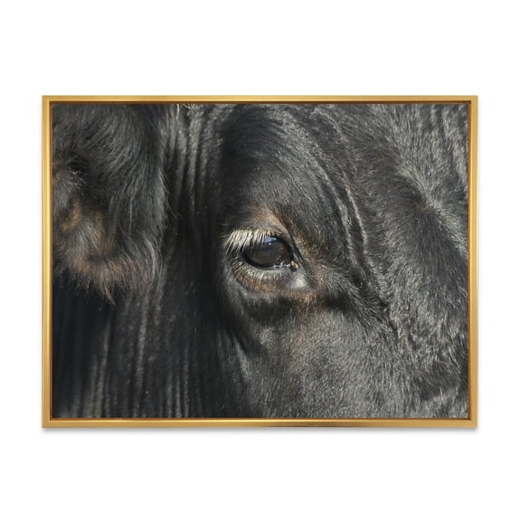 Designart 'Close-Up Of Cow Eye' Farmhouse Framed Canvas Wall Art Print