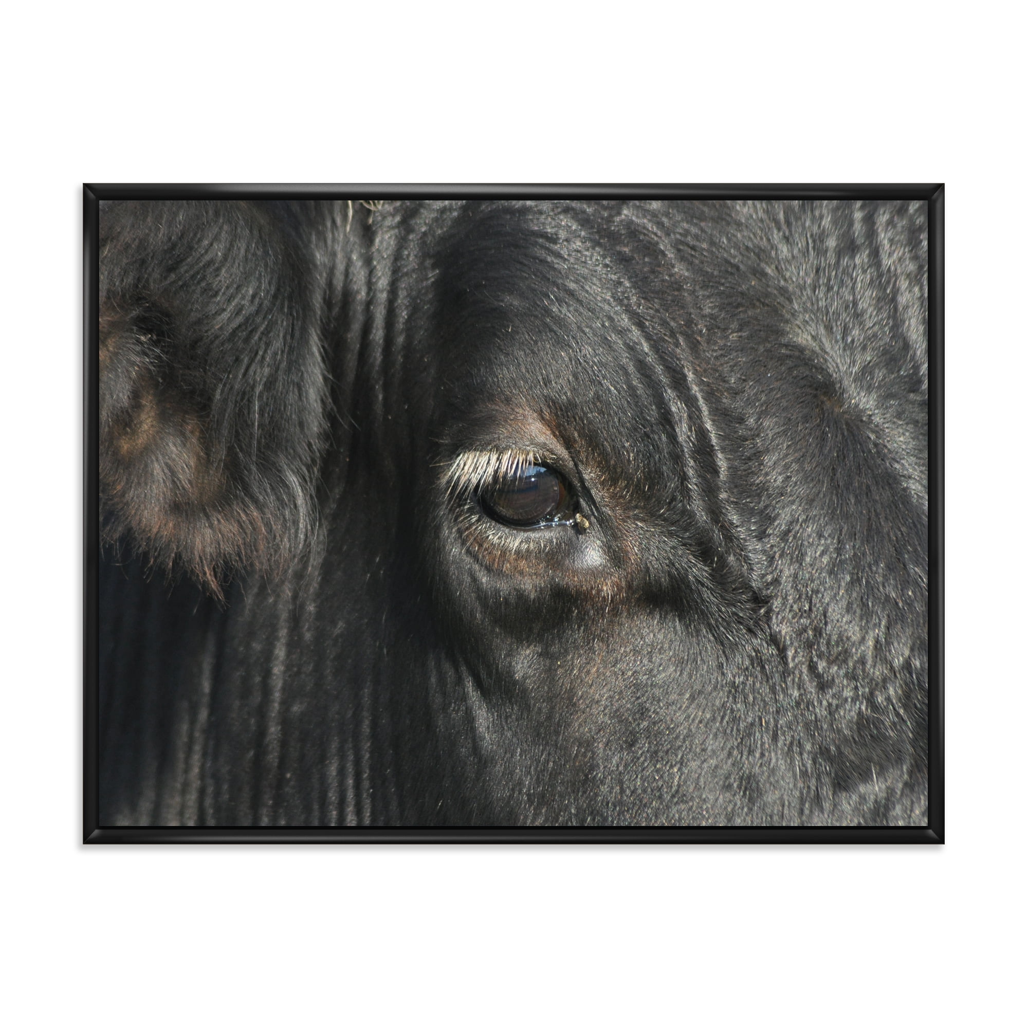 Designart 'Close-Up Of Cow Eye' Farmhouse Framed Canvas Wall Art Print