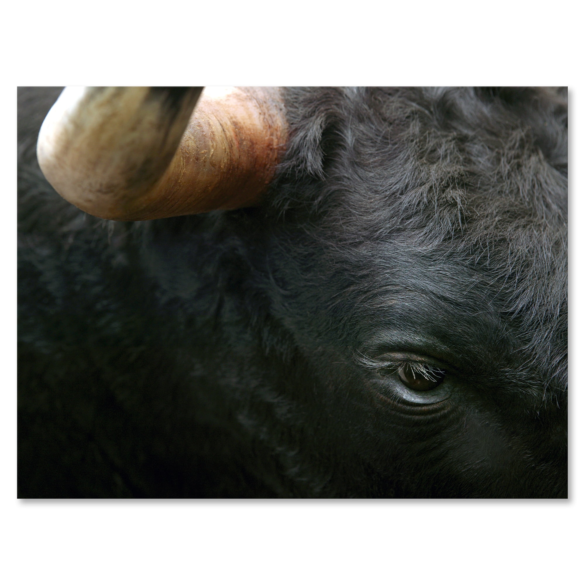 Designart ' Close-Up Of Eye Fighting Bull Head ' Farmhouse Canvas Wall Art Print