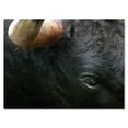 thumbnail image 1 of Designart ' Close-Up Of Eye Fighting Bull Head ' Farmhouse Canvas Wall Art Print, 1 of 4