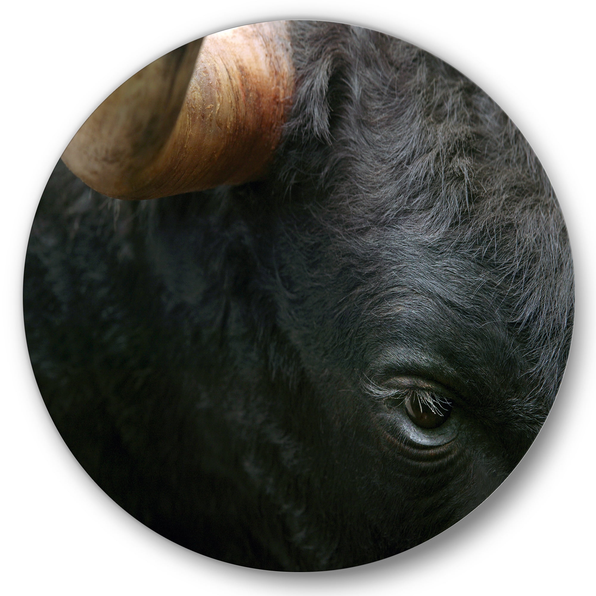Designart 'Close-Up Of Eye Fighting Bull Head ' Farmhouse Circle Metal Wall Art 36x36 - Disc of 36